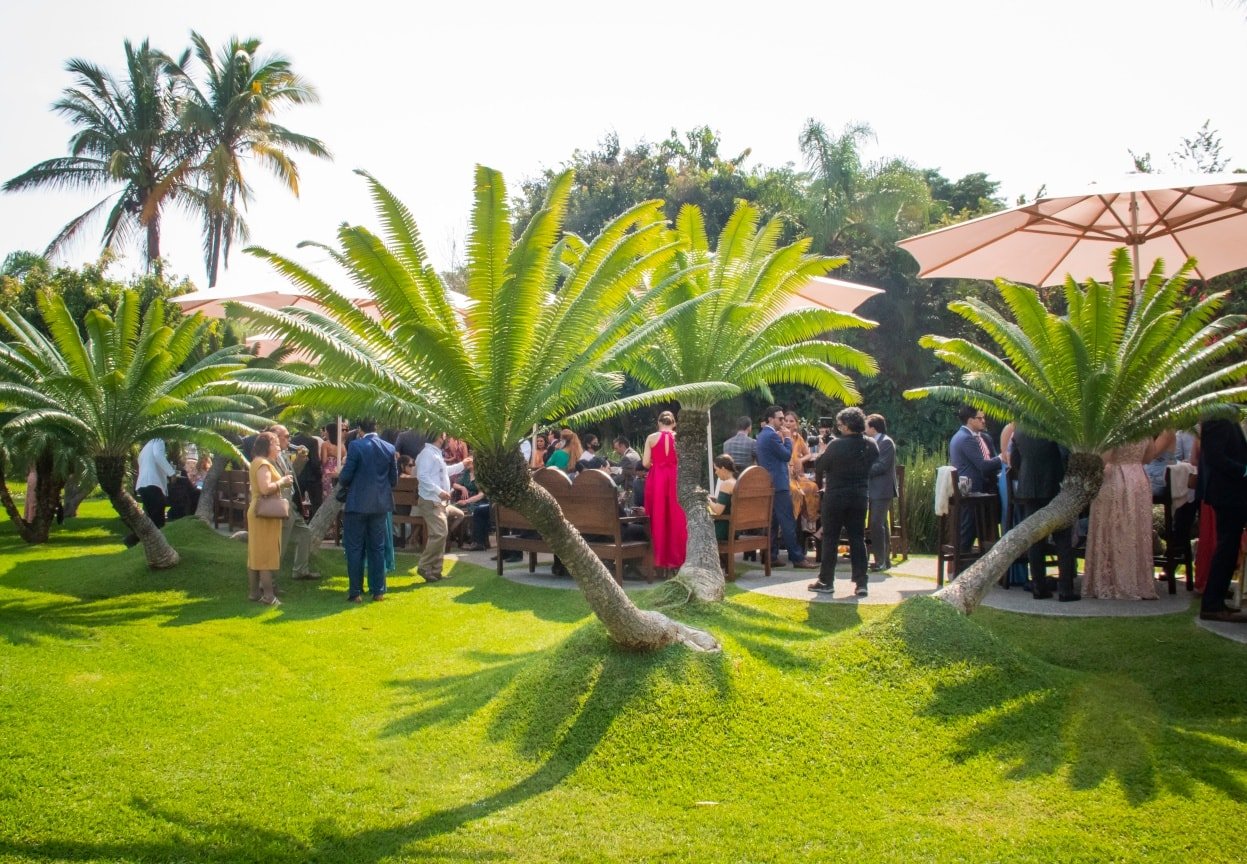 Boda tropical sofisticada

